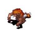 관찰자