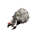 눈코끼리