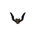 박쥐