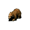 반달곰