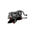 백호